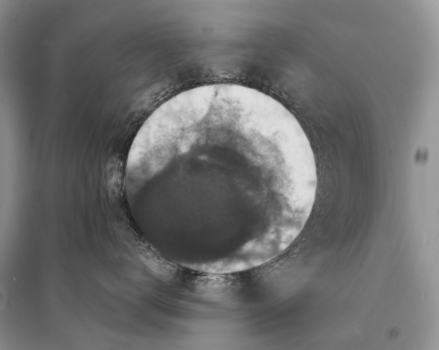 X0000094900672200712201136