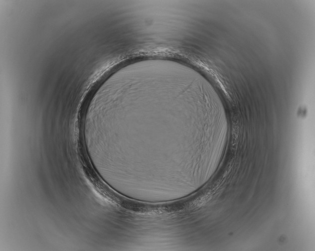 X0000094900674200712201135