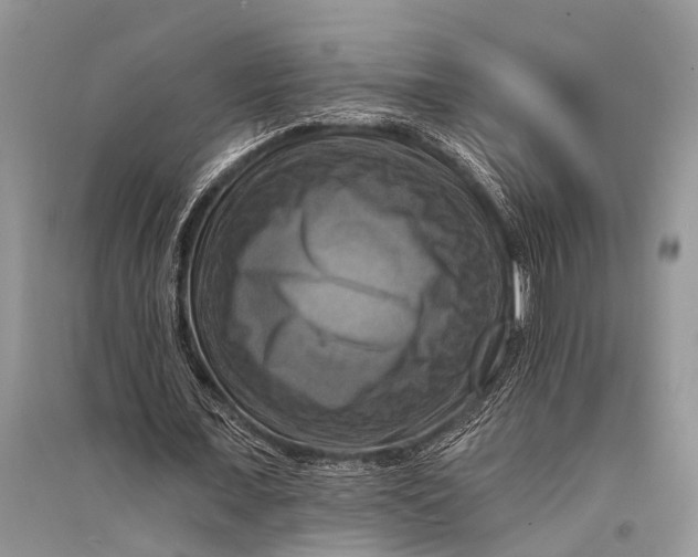 X0000094900675200712201135