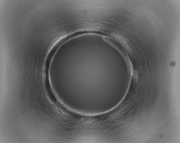 X0000094900676200712201135