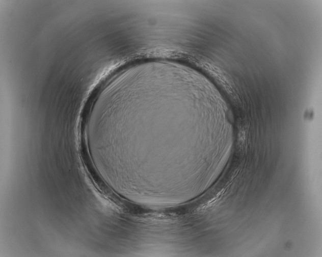 X0000094900678200712201135