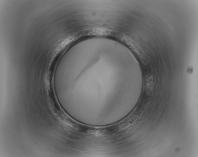 X0000094900679200712201135