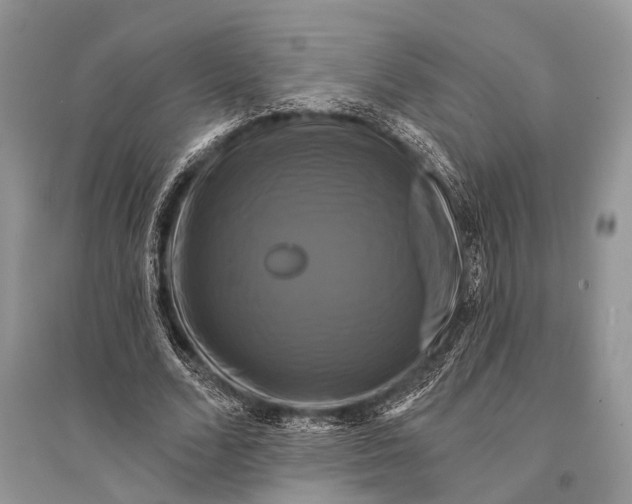 X0000094900680200712201135