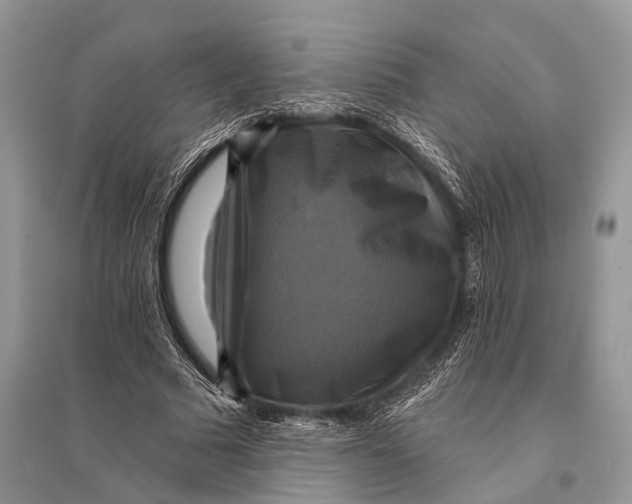 X0000094900681200712201135