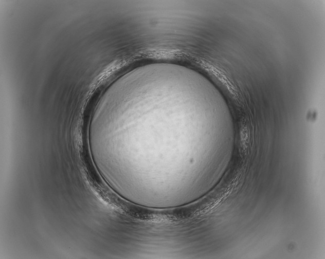 X0000094900682200712201135