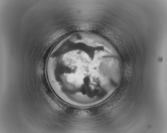 X0000094900683200712201135