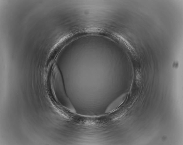 X0000094900684200712201135