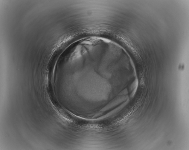 X0000094900685200712201135