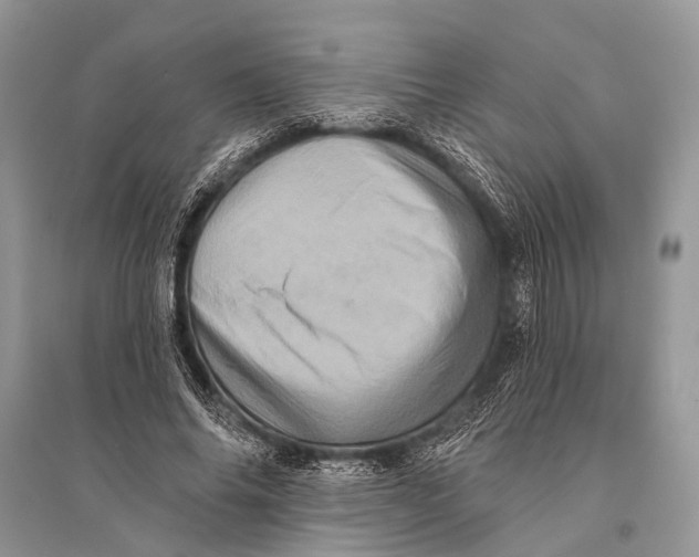 X0000094900686200712201135