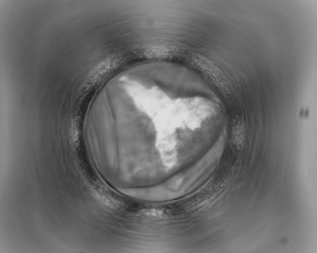 X0000094900687200712201135