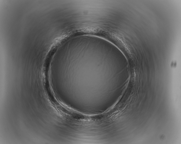 X0000094900688200712201135