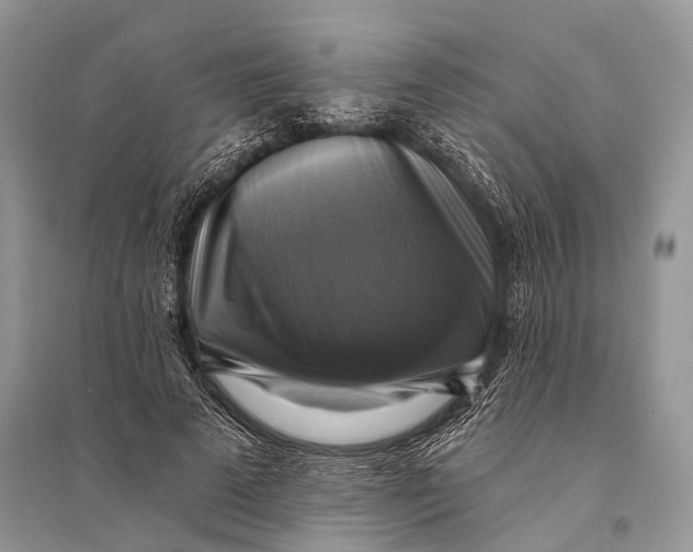 X0000094900689200712201135