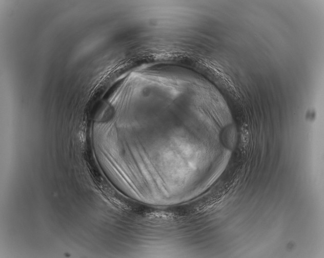 X0000094900691200712201135