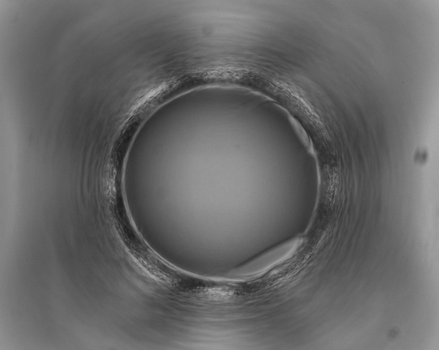 X0000094900692200712201135