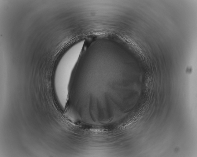 X0000094900693200712201135