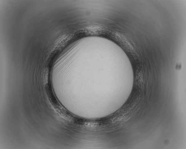 X0000094900694200712201135