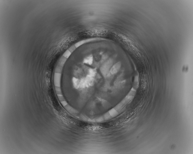 X0000094900695200712201135