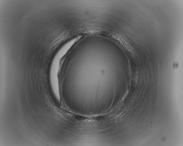 X0000094900696200712201135