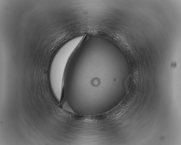 X0000094900697200712201135