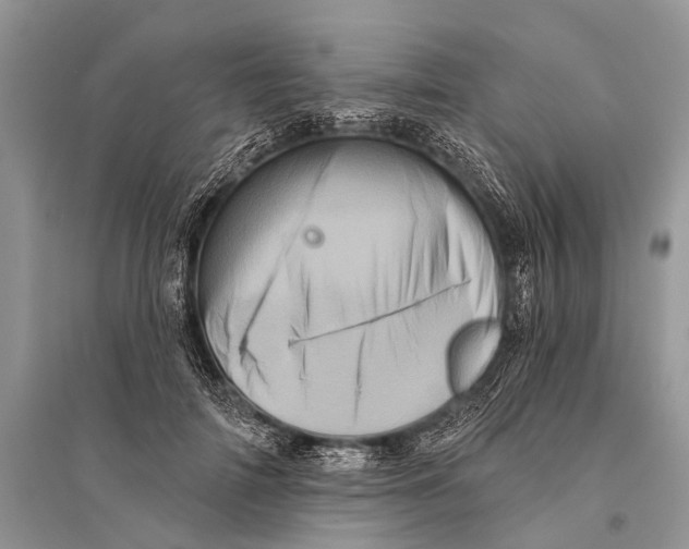 X0000094900698200712201135