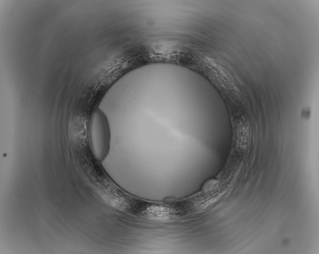 X0000094900699200712201135