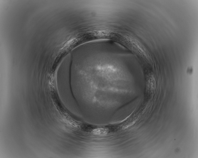 X0000094900700200712201135