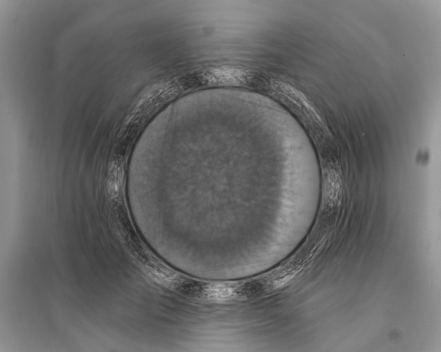 X0000094900701200712201135