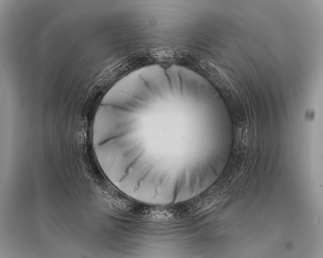 X0000094900702200712201135