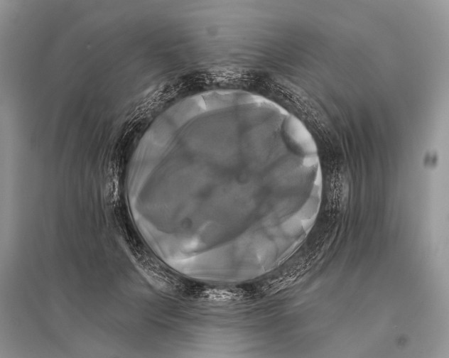 X0000094900703200712201135