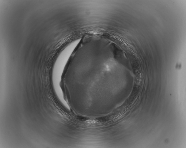 X0000094900704200712201135