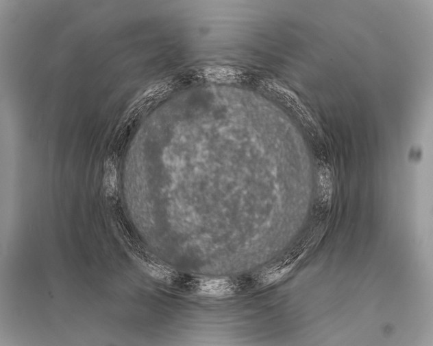 X0000094900705200712201134