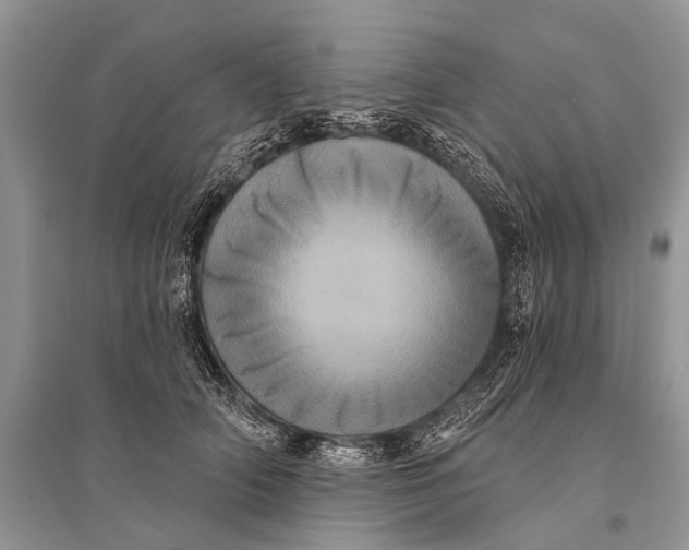 X0000094900706200712201134