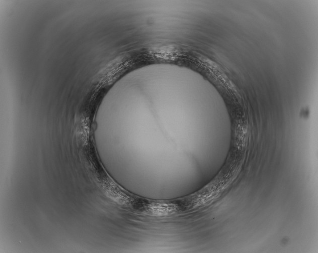 X0000094900707200712201134