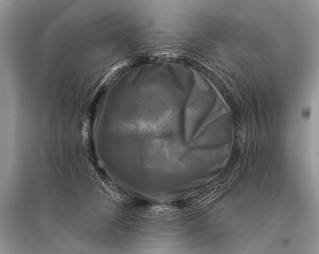 X0000094900708200712201134