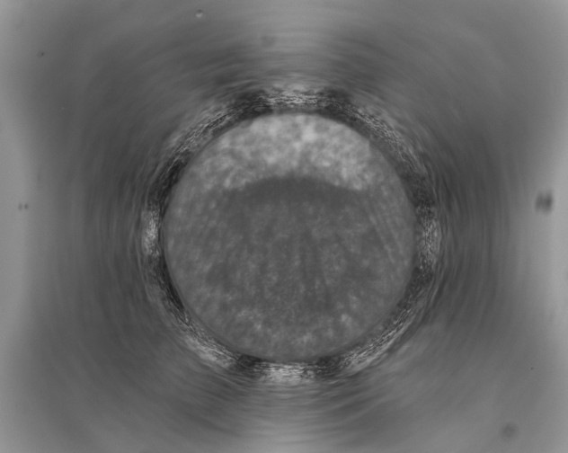 X0000094900709200712201134