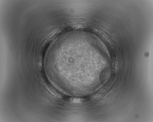 X0000094900710200712201134