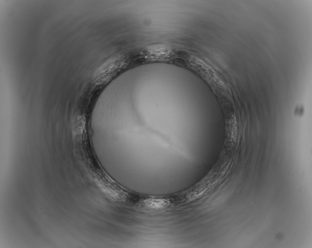 X0000094900711200712201134