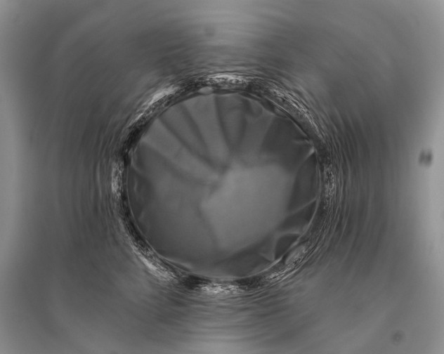 X0000094900712200712201134