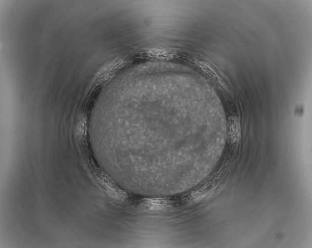 X0000094900713200712201134