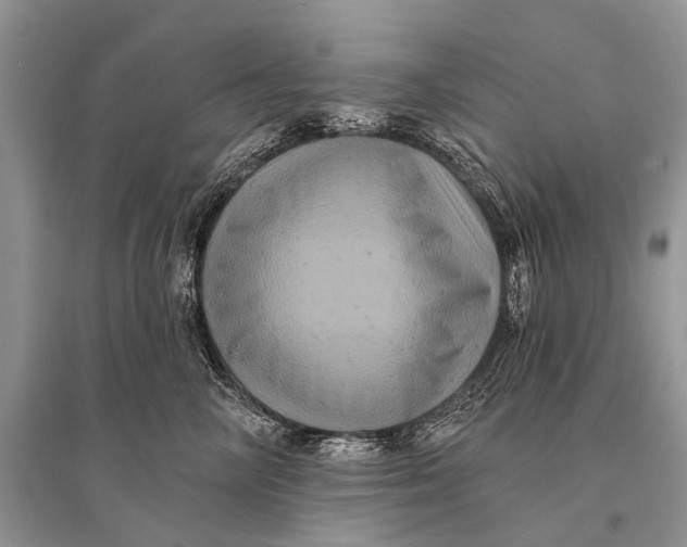 X0000094900714200712201134