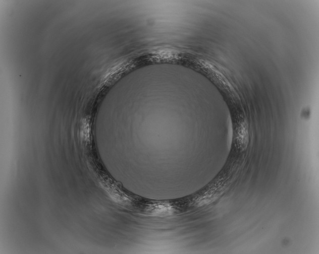 X0000094900715200712201134