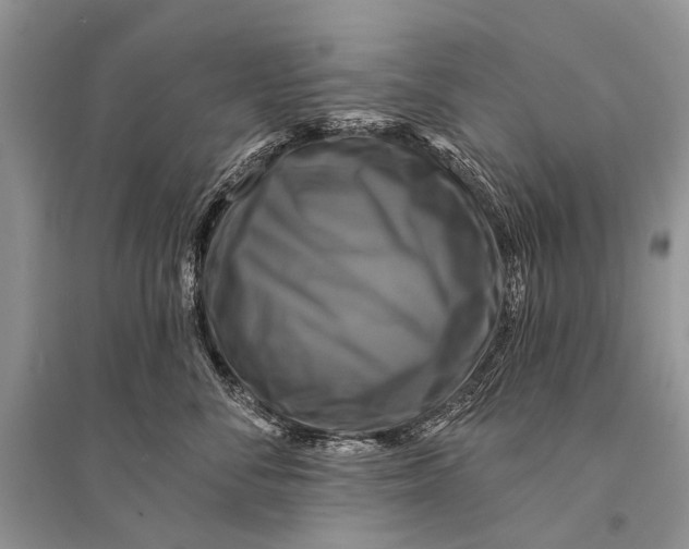 X0000094900716200712201134