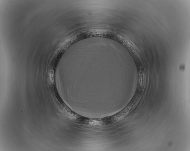 X0000094900718200712201134