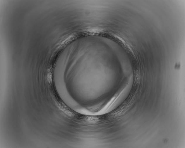 X0000094900719200712201134