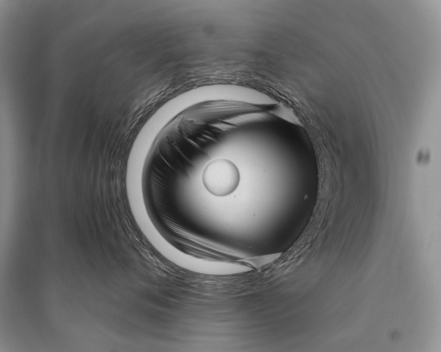 X0000094900720200712201134