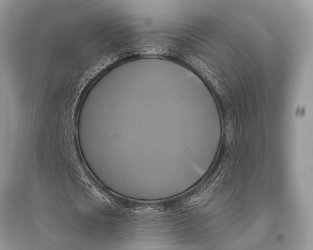 X0000094900721200712201134