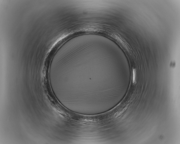 X0000094900723200712201134