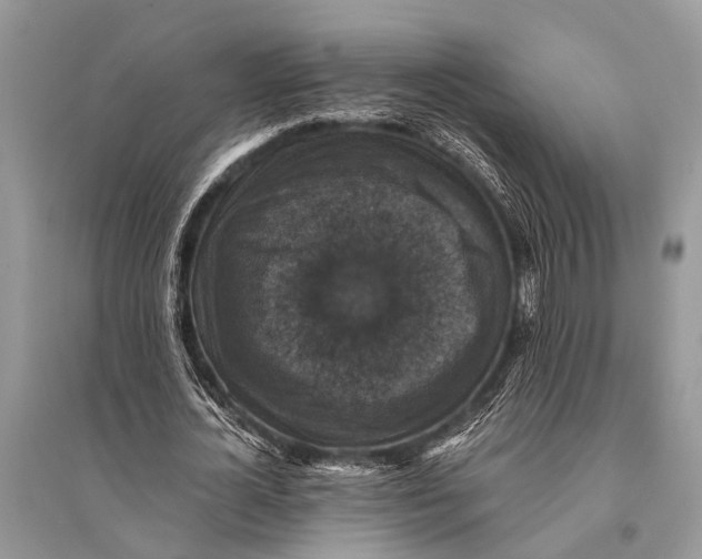 X0000094900724200712201134