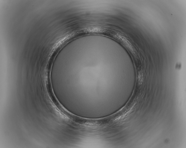 X0000094900725200712201134