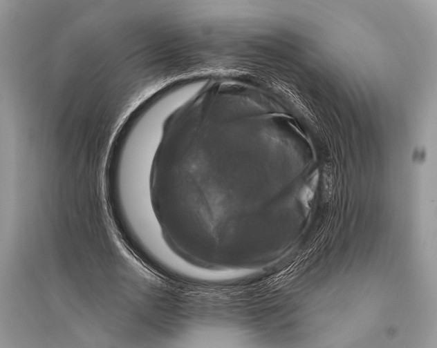 X0000094900726200712201134